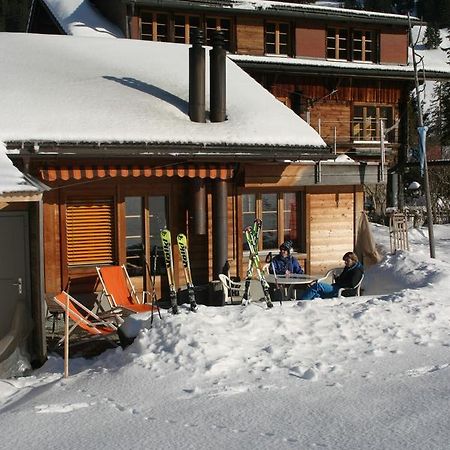 Bergdohle Apartman Adelboden Kültér fotó