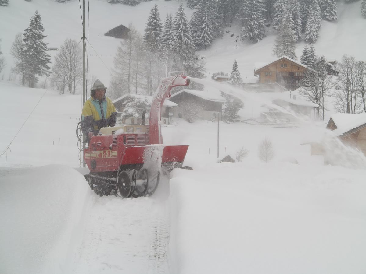 Bergdohle Apartman Adelboden Kültér fotó