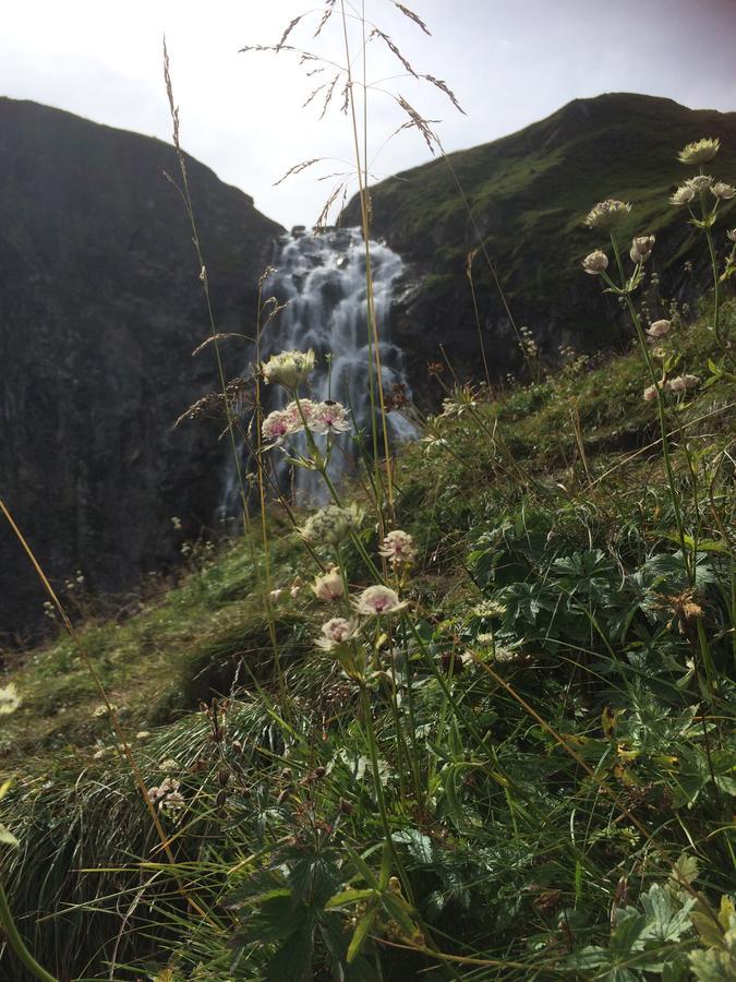 Bergdohle Apartman Adelboden Kültér fotó